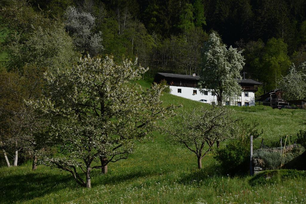 Pension Tina Neustift im Stubaital Bagian luar foto
