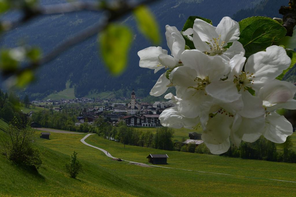 Pension Tina Neustift im Stubaital Bagian luar foto