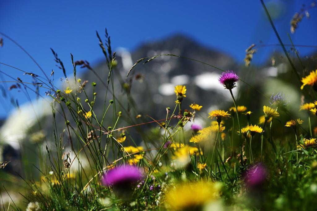 Pension Tina Neustift im Stubaital Bagian luar foto